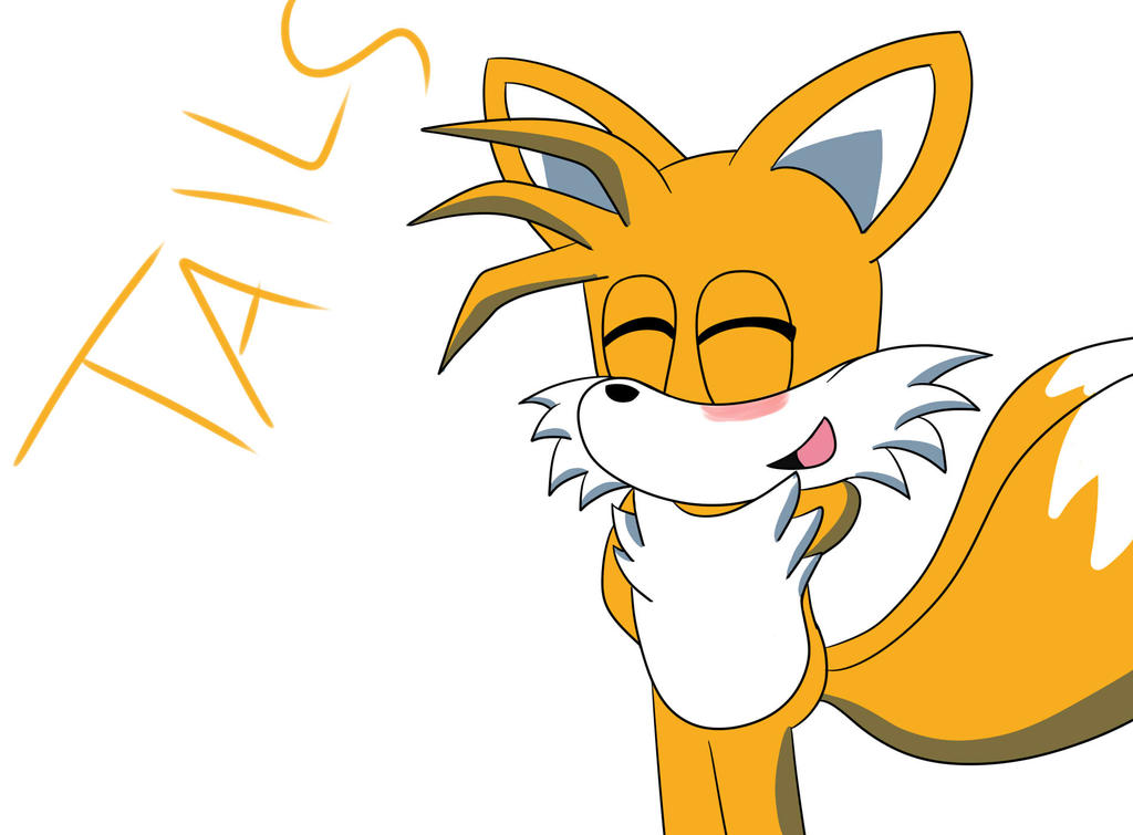 Tails Rizzes Tails by ErzuuHege on DeviantArt