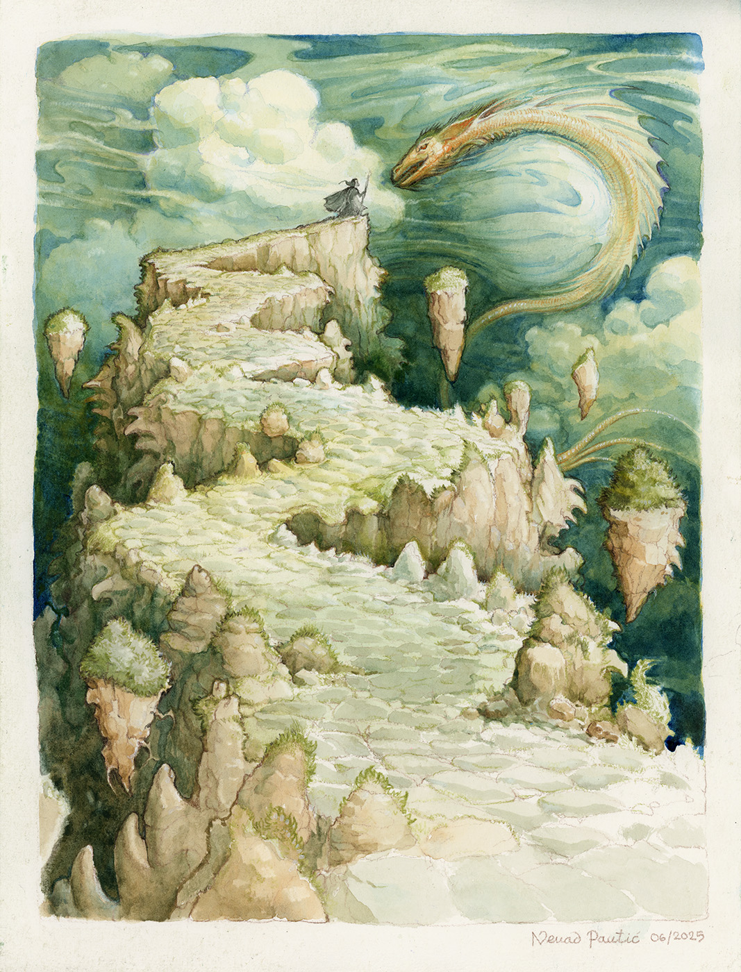 The Wyvern Summoner