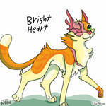 BrightHeart design (1)