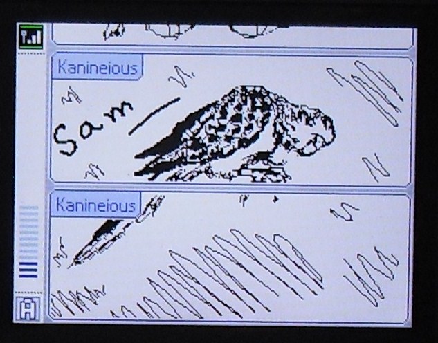 Sam on Pictochat