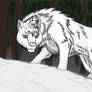 A white wolf named Frost