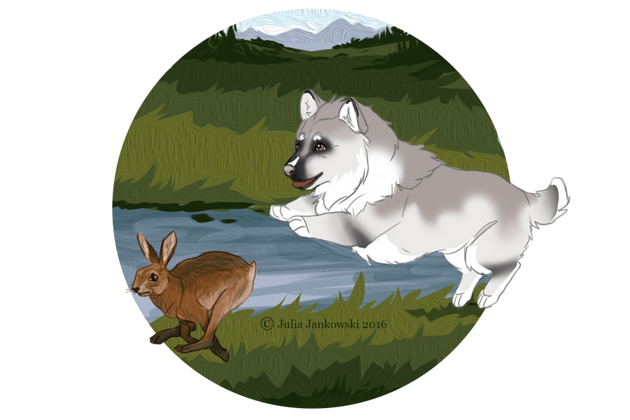 Toki Rabbit ROtH by Fruba on DeviantArt