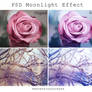 PSD Moonlight Effect- SPECIAL VALENTINE'S OFFER