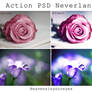 Neverland - Photoshop Action + PSD.