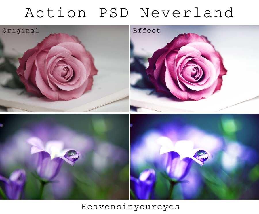 Neverland - Photoshop Action + PSD.