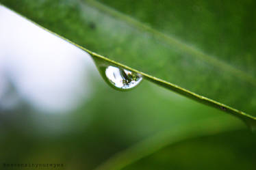 Raindrop.