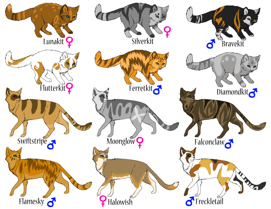Warrior Cats not Adoptables By Vanellope123 On DeviantArt warrior-cats-not-adoptables-by-vanellope123-on-deviantart
