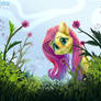 Fluttershy