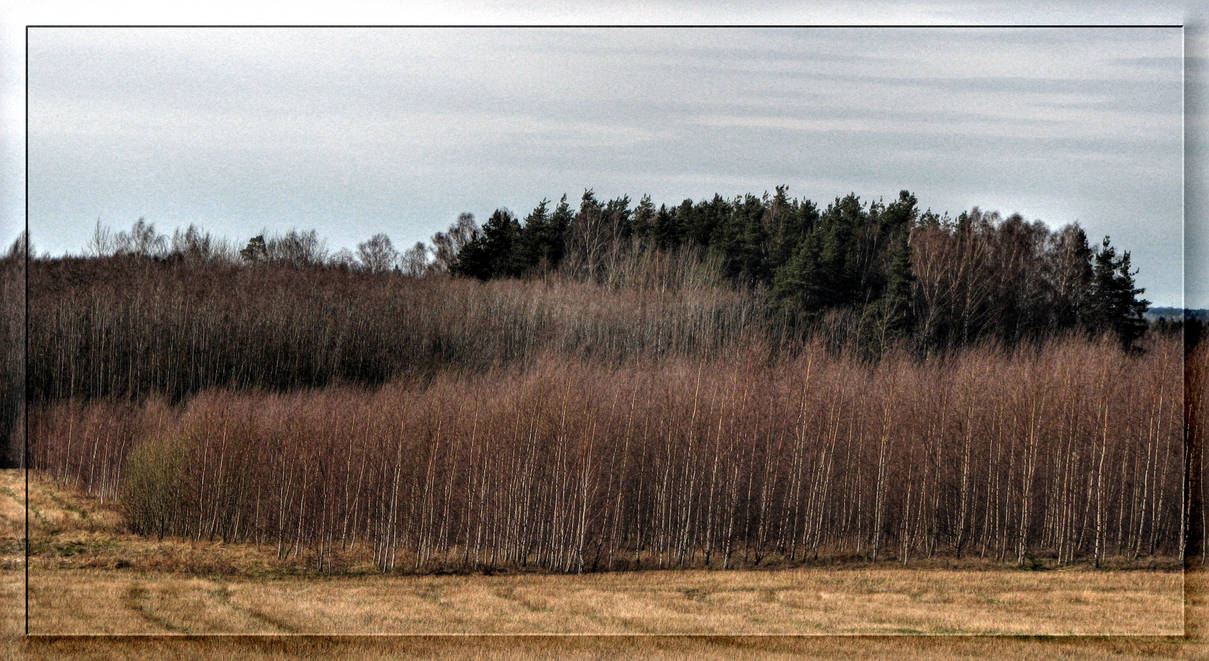 Simple spring landscape... by Yancis on DeviantArt
