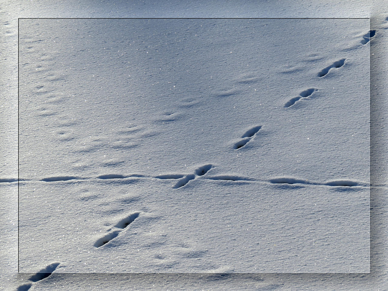 One step right, one step left... by Yancis on DeviantArt