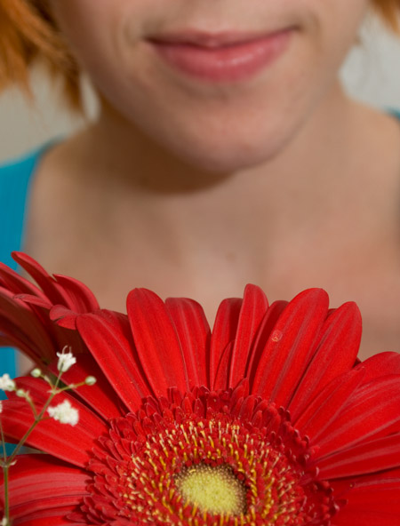 320:365 - Red Flowers