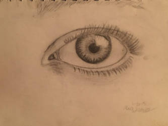 Eye Sketch 