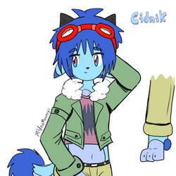Sidnik chosen of spirit