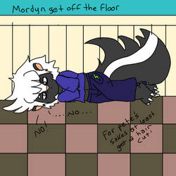 Ask Mordyn a question