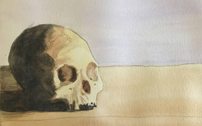 Skull On Table