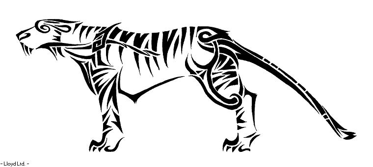 Indian Tiger new version