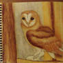 barn owl started