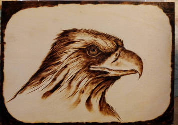 Pyrograhic eagle