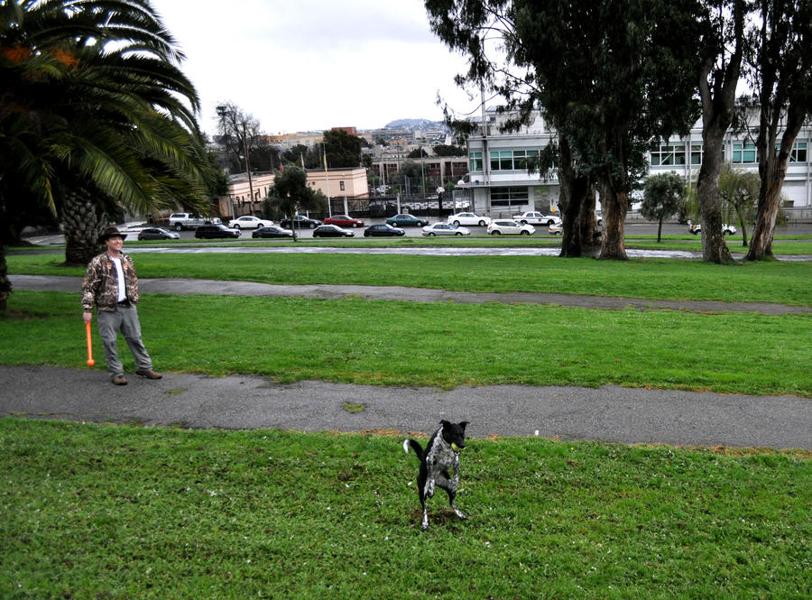 A boy and his dog 7