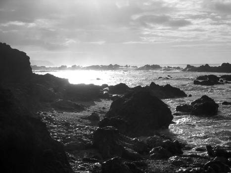 Bright Hawaii Beach