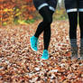 the seasons change