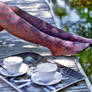 coffee at the water's edge