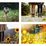 postcard set for sale
