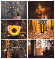 postcard set 'autumn memories'