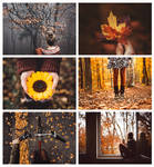 postcard set 'autumn memories' by Rona-Keller