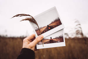 memories from the last day of the year