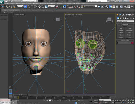 Face Rigging