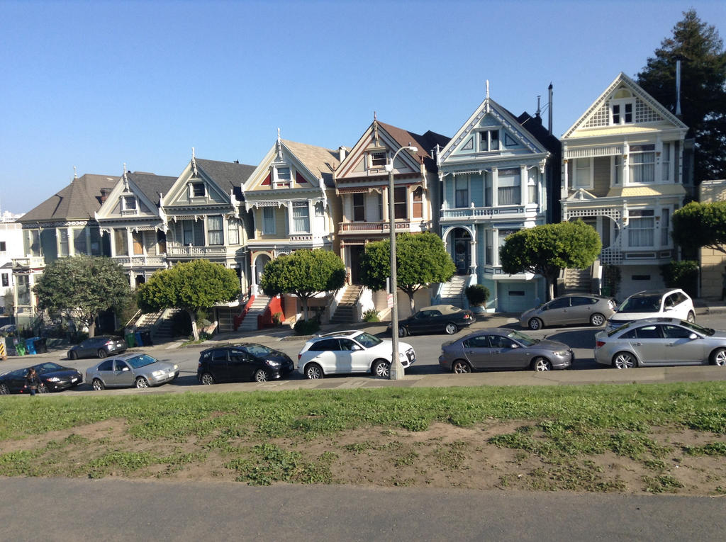 painted Ladies