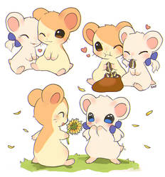 Hamtaro