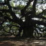 Angel Oak II