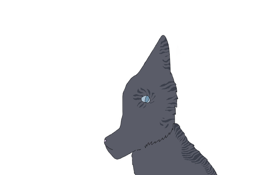 Jayfeather Headshot