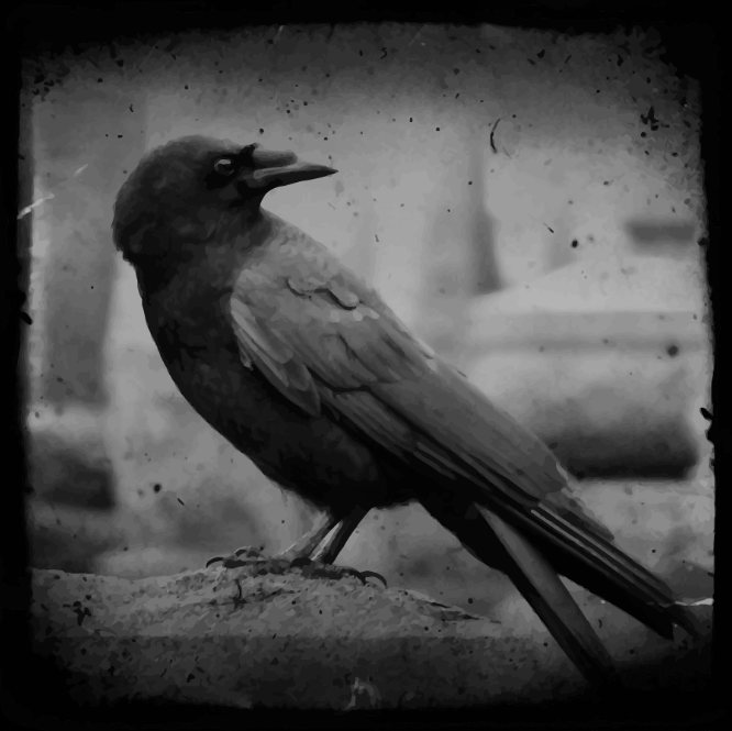 .:Crow Of Darkness:.