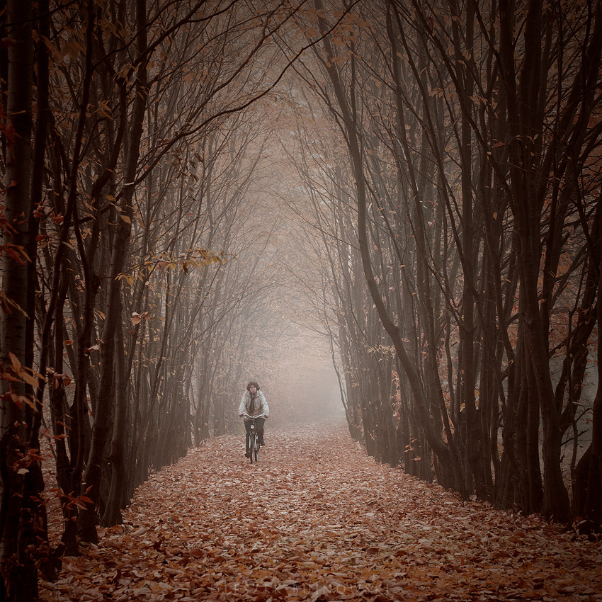 Cycling through the autumn