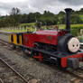 Alice the Little Welsh Engine