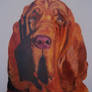 bloodhound