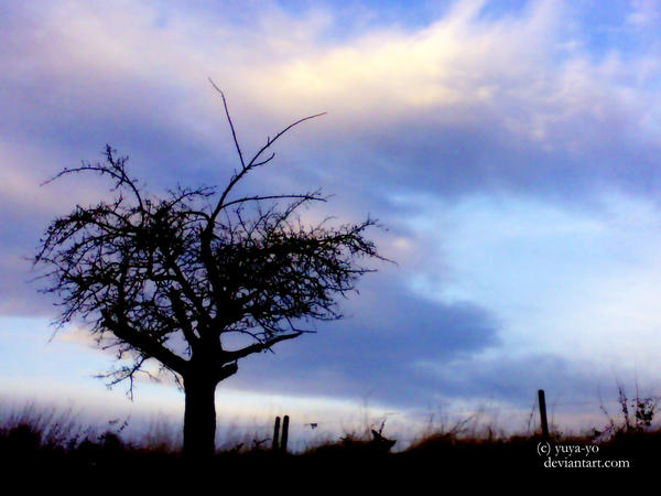 dead tree