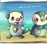 Piplup and Oshawott