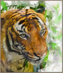 Tiger Painting Art