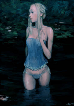 water lily 02