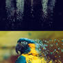 Dispersion Photoshop Action