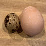 Eggs