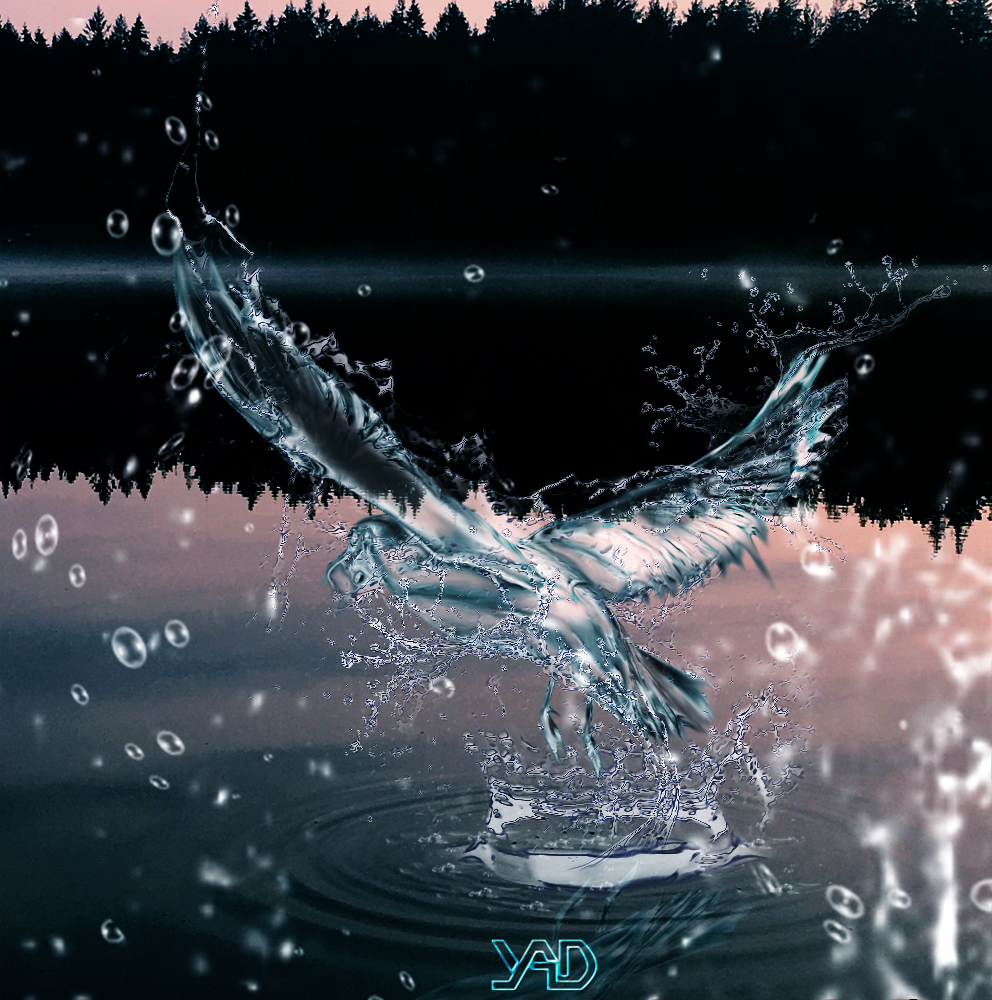 Bird Splash Bird Splash by art-yudha on DeviantArt
