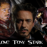 Tony Stark Signature