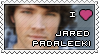 Jared Padalecki Stamp by glomdi