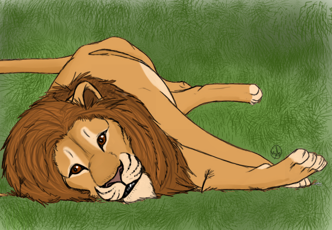 Lazy Lion Practice