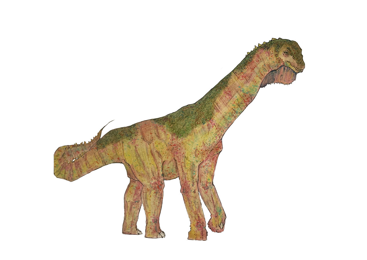 Isisaurus Model Isisaurus by liviatanArts on DeviantArt